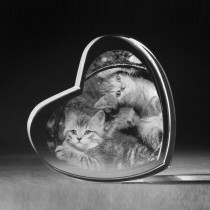3D Kristallherz mit 2D Laserbild Katzenbabys gelasert