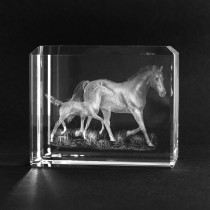 3D Glas Motiv Tiere. Pferd mit Fohlen in Kristallglas gelasert