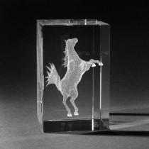 3D Pferd steigend in 3D Kristall Glas gelasert. Tiere