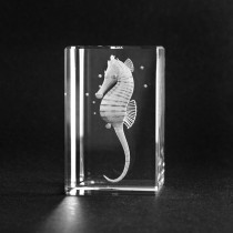 3d Seepferd via Lasergravur in Glas