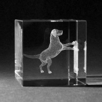 3D Glas mit Lasergravur Hund am Zaun by 3D Crystal