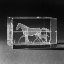 3D Lasergravur , Pferd mit Fohlen in 3D Kristall gelasert