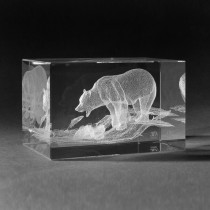 3D Lasergravur Bär beim Fischfang in Glas by 3D Kristall