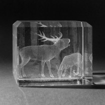 3D Laserglas. Tiere - Hirsch in 3D Glas graviert