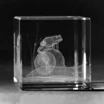3D Laserglas. Tiere - Frosch auf Schnecke in 3D Glas graviert