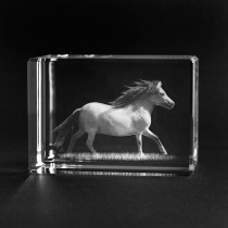 3D Glas Pony, Shetlandpony dreidimensional in Glas. Die Geschenkidee