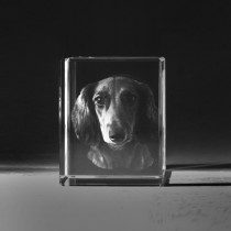 3D Laserbild. Hund vom Foto in Glas 543 gelasert. 3D Crystal Ihr Bid als dreidimensionales Portrait