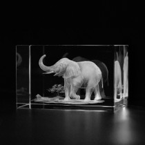 3D Elefant in Glas gelasert. 3D Crystal Kristallglas Motiv Tiere