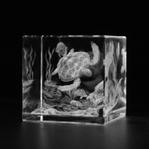 3D Schildkröte unter Wasser in Glaswuerfel gelasert. 3D Crystal Glas Motive Tiere