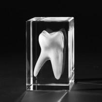 3D Zahn. Menschlicher Molarzahn als Glasmodell in Kristallglas gelasert