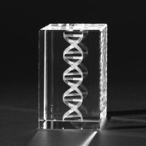 3D Genspirale, Doppelhelix, DNA, Anatomische Motive der Medizin in 3D Kristall