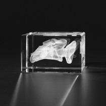 3D Modell Gehörgang, Anatomie des Menschen, Organe in Kristallglas gelasert