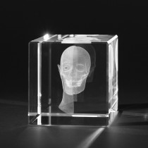 Halb offener menschlicher Kopf in 3D. Medizin Modell in Glas