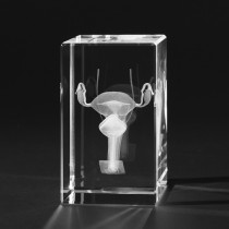 3D Menschliche Gebärmutter, Anatomisches Modell der Frau in Kristallglas gelasert