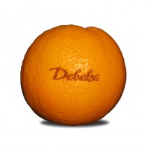 Logo Obst, Gravur auf Früchte, Orange mit Werbung graviert