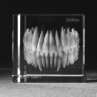 3D Gebiss eines Menschen, Dentalmotive Zahn Modelle in Glas