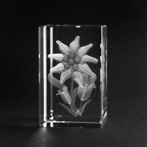 3D Blume Edelweiss und Enzian in Kristall Glas gelasert. 3D Crystal Natur Motiv