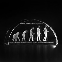 3D Lasergravur in Glas. Evolutionstheorie nach Charles Darwin