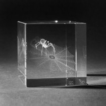 3D Lasergravur Spinnwebe in Glaswürfel