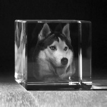 3D Foto in Glas. 3D Glasfoto vom Hund