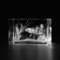 3D Taucher Unterwasserwelt in Kristallglas gelasert. 3D Crystal Glas Motive Sport
