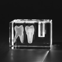 3D Zahn im Werbeartikel Stiftehalter. Dentalmotive Zahnmodell