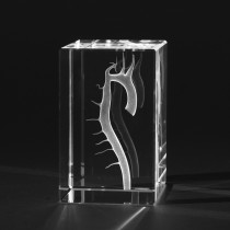 3D Modell einer Aorta, Medizinische Motive in Kristallglas gelasert