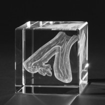 3D Erkrankte Vene, Venenmodell in Glas, Anatomische Motive