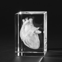 3D Menschliches Herz als Glasmodell. Anatomische Motive, Innere Organe in 3D Crystal