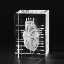 3D Modell Offenes Herz, Anatomische Motive 3D in Kristallglas gelasert