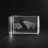 3D Lasgravur in Glas. Bulle und Bär