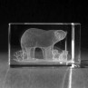 3D Lasergravur, Tiere - Eisbär in 3D Laserglas graviert
