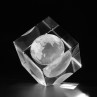 3D Globus Weltkugel in Kristallwuerfel gelasert. 3D Crystal Glas Motive Welt