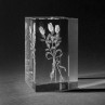 3D Blumenstrauß Rosenstrauß in Kristall Glas gelasert. 3D Crystal Natur Motive