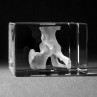 3D Modell menschliches Hüftgelenk in Kristallglas gelasert, Knochenmodell