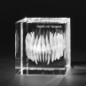 3D Modell vom menschlichen Gebiss mit Veneers, Zahnmodell für Zahnärzte, Dentalmotive in Kristallglas gelasert