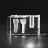 3D Zahnmodell Backenzahn und Zahnimplantat. Dentalmotive in Glas