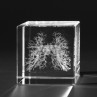 Innere Organe 3D in Kristallglas, Bronchien Modell des Menschen