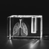 3D Modell menschliche Lunge im Glas-Stiftehalter. Anatomische Motive, innere Organe in Kristallglas gelasert