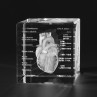 3D Geschlossenes Herz Modell des Menschen mit Eigenschaften in Glas gelasert. Anatomische Motive