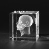 Menschenkopf in 3D. Anatomische Modelle in Kristallglas gelasert