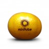 Logo Obst, Gravierte Promotion Mandarine