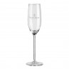 Sektglas, Champagnerglas mit Logo Gravur. Ihre Namen durch Lasergravur auf Glas. Trinkgläser mit Werbung, Hochzeitsglaeser